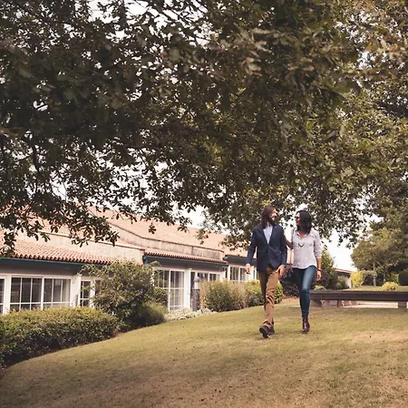 Gran Abetos A Torre Branca