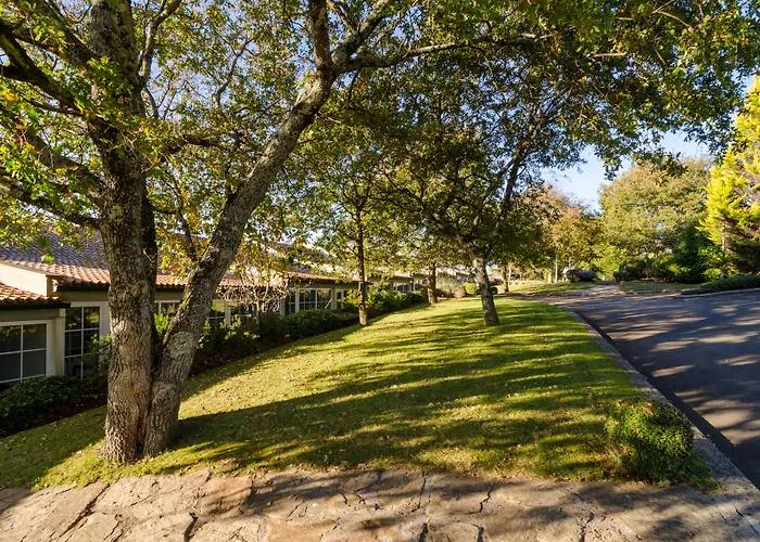 Gran Abetos 4* A Torre Branca